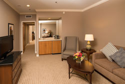 Suite Accommodations