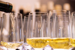 Wine Tasting in Indianapolis